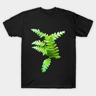 Fern Frond Fresh and Green T-Shirt